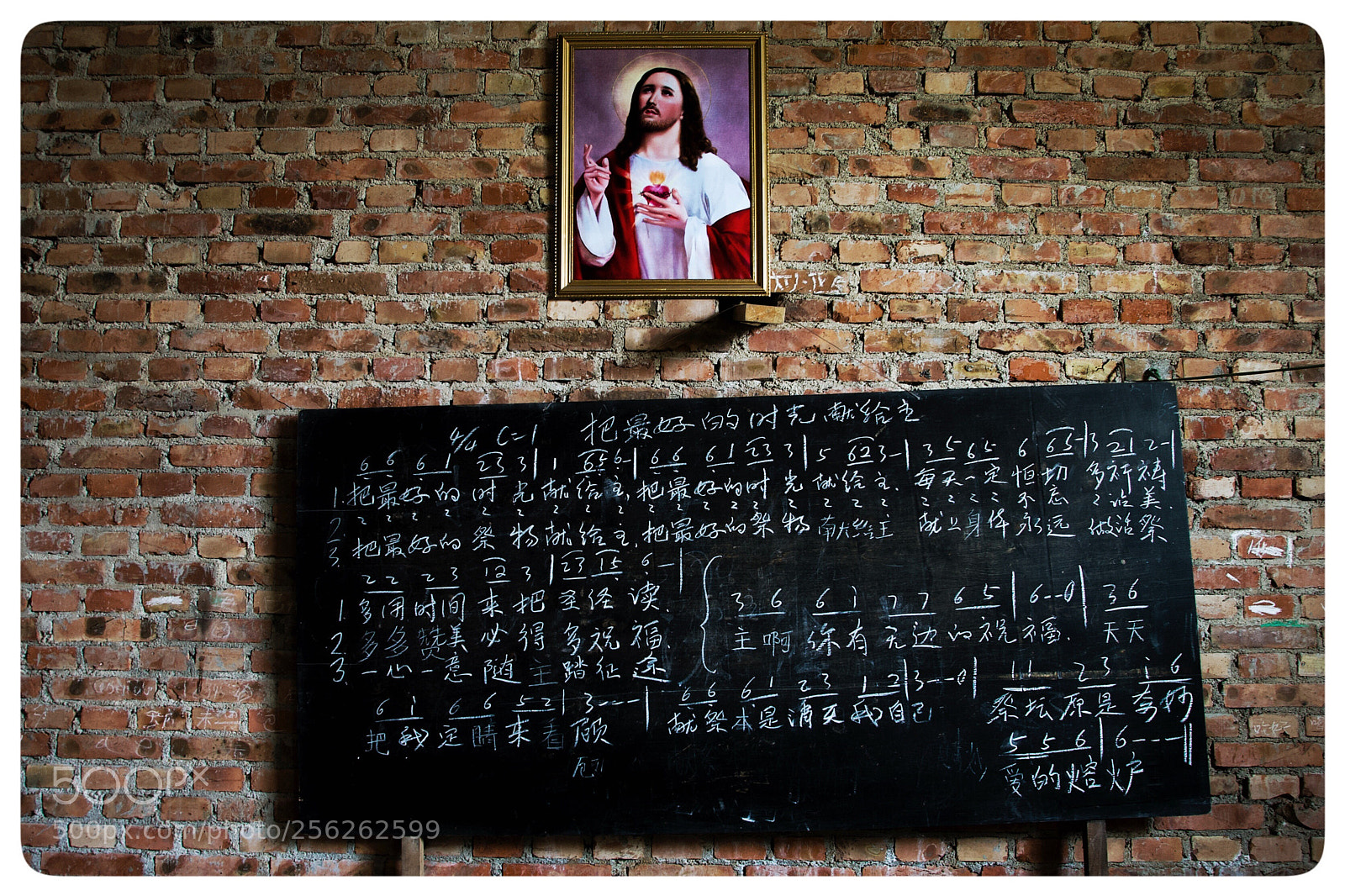 Canon EOS-1D Mark II N sample photo. Untitled photography