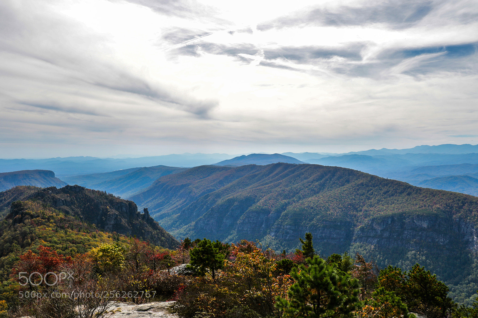 Canon EOS 7D Mark II sample photo. Print photography