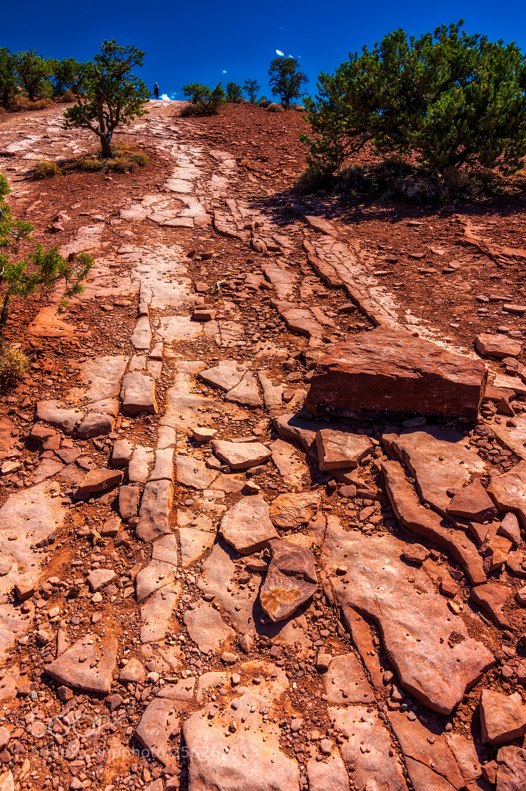 Pentax K-3 II sample photo. Utah - capitol reef photography