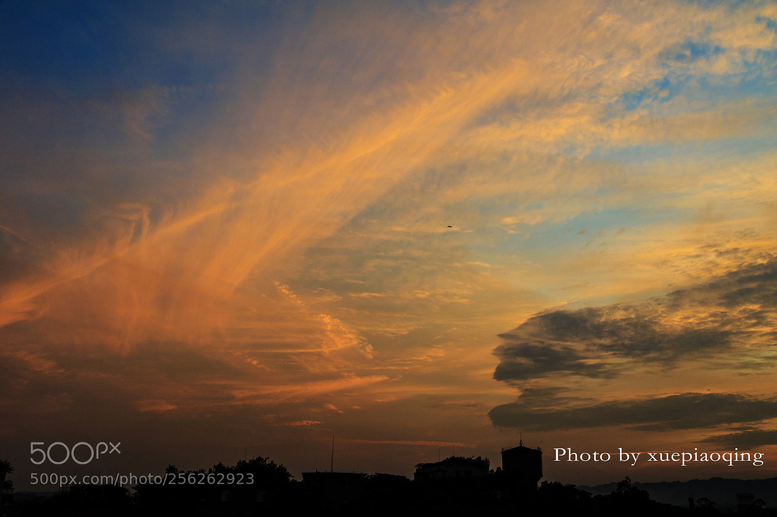 Canon EOS 760D (EOS Rebel T6s / EOS 8000D) sample photo. Untitled photography