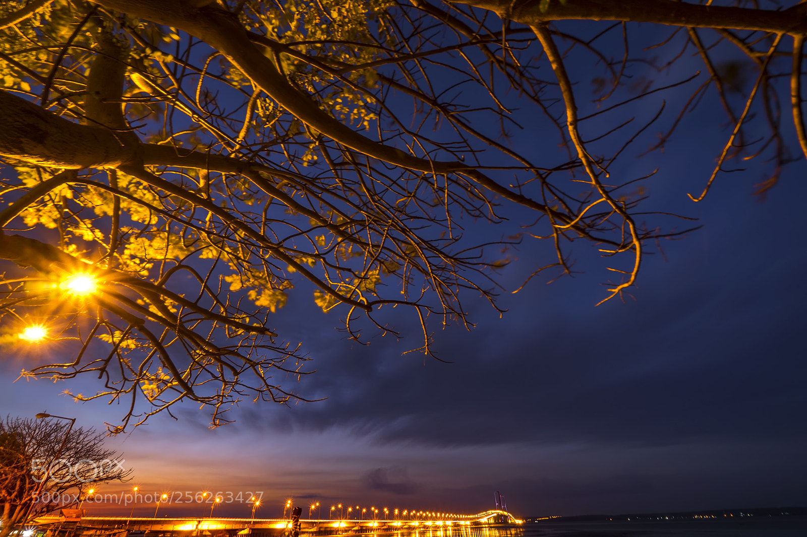Sony a7 sample photo. Twilight photography