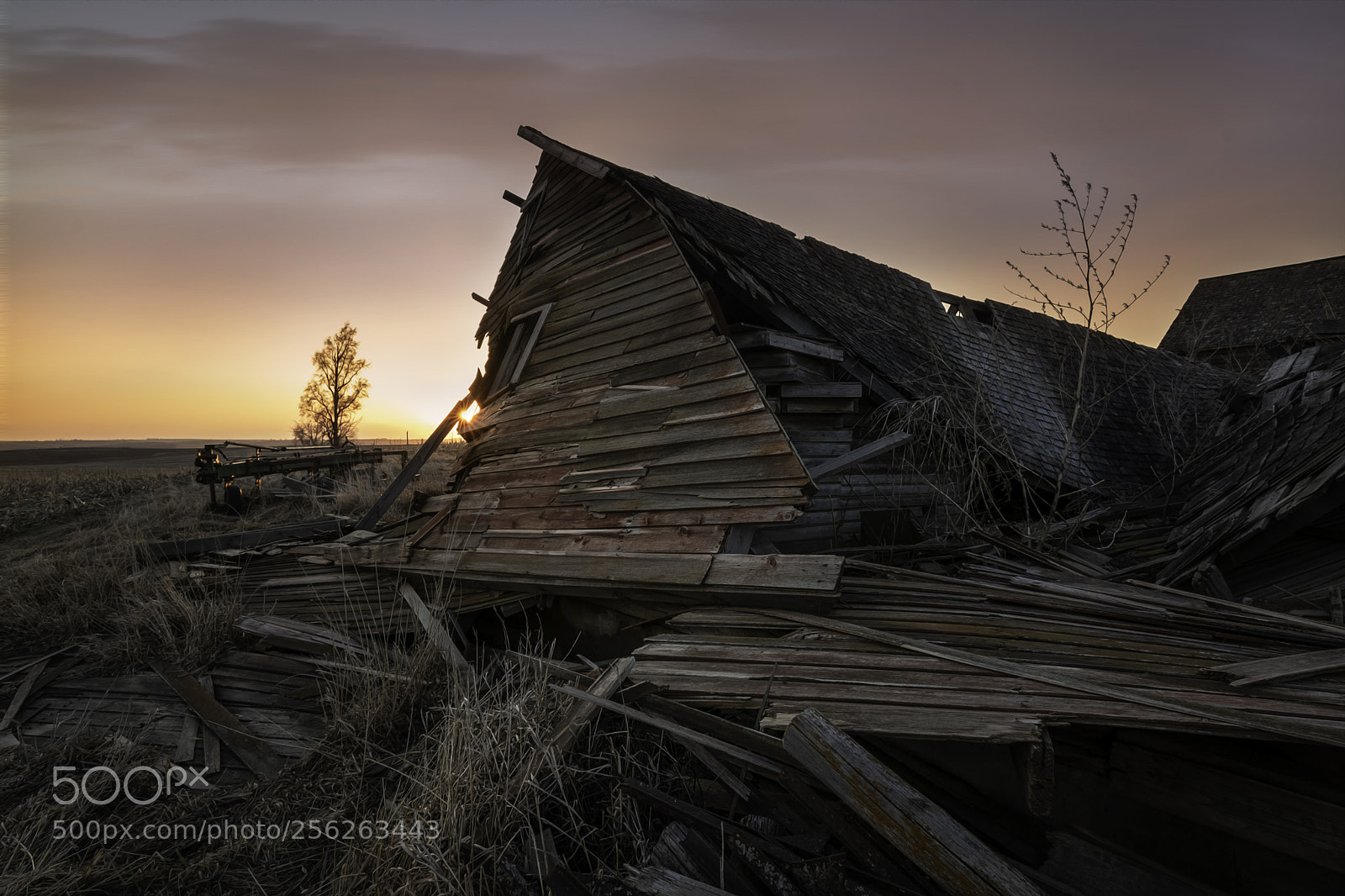 Nikon D750 sample photo. Beautiful wreck photography