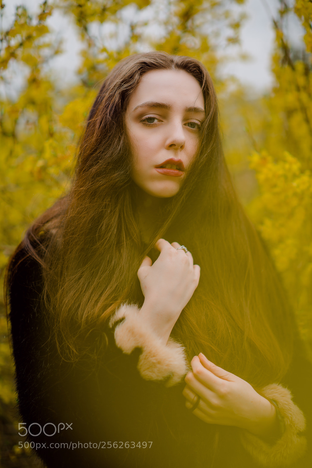 Nikon D810 sample photo. Madeleine  photography
