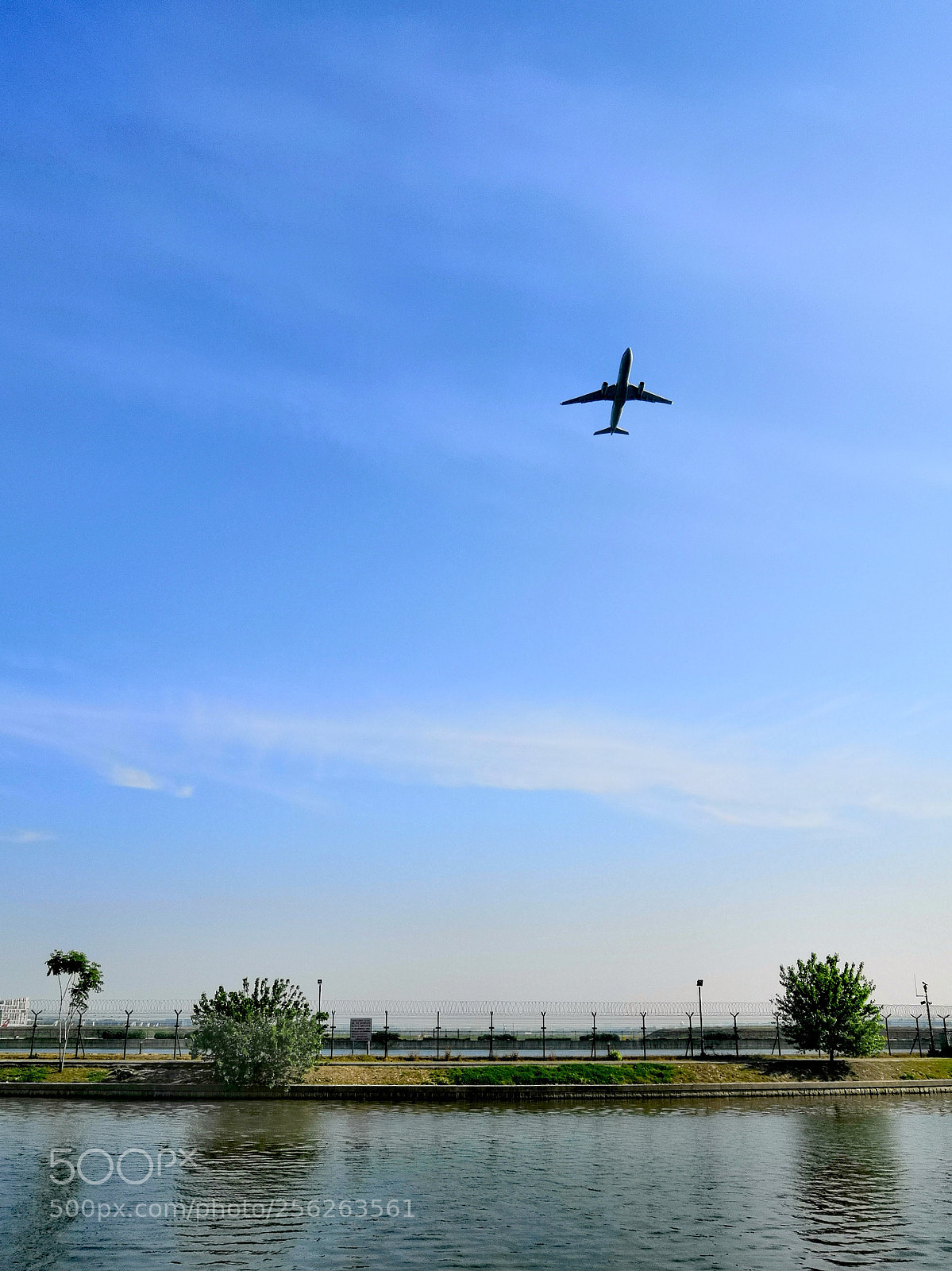 HUAWEI Honor 10 sample photo. Flying in blue sky photography