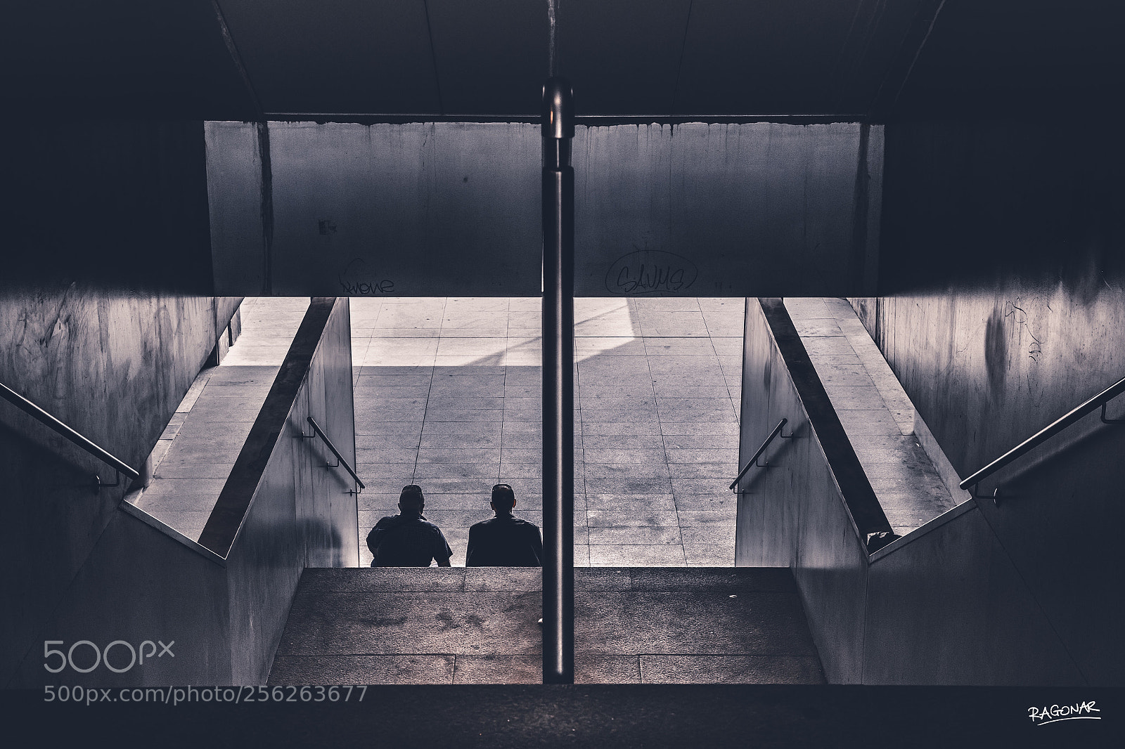 Canon EOS-1D X Mark II sample photo. Two friends together photography
