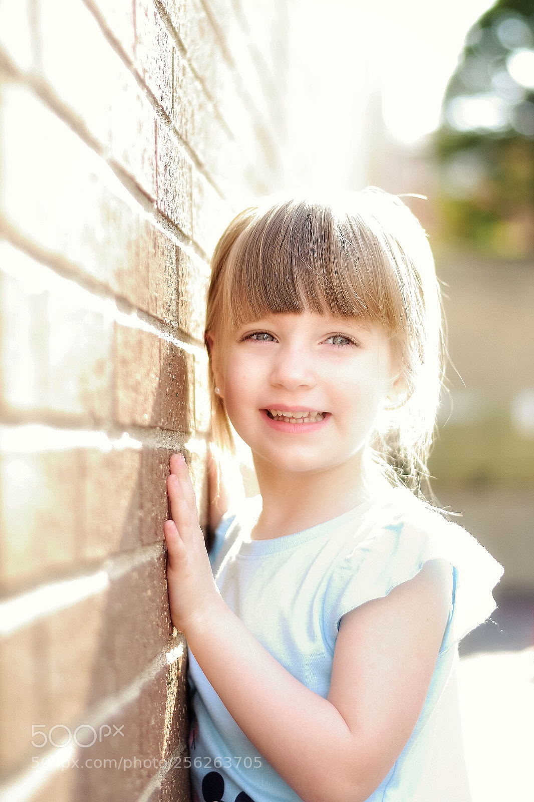 Nikon D5600 sample photo. A twinkle in those photography