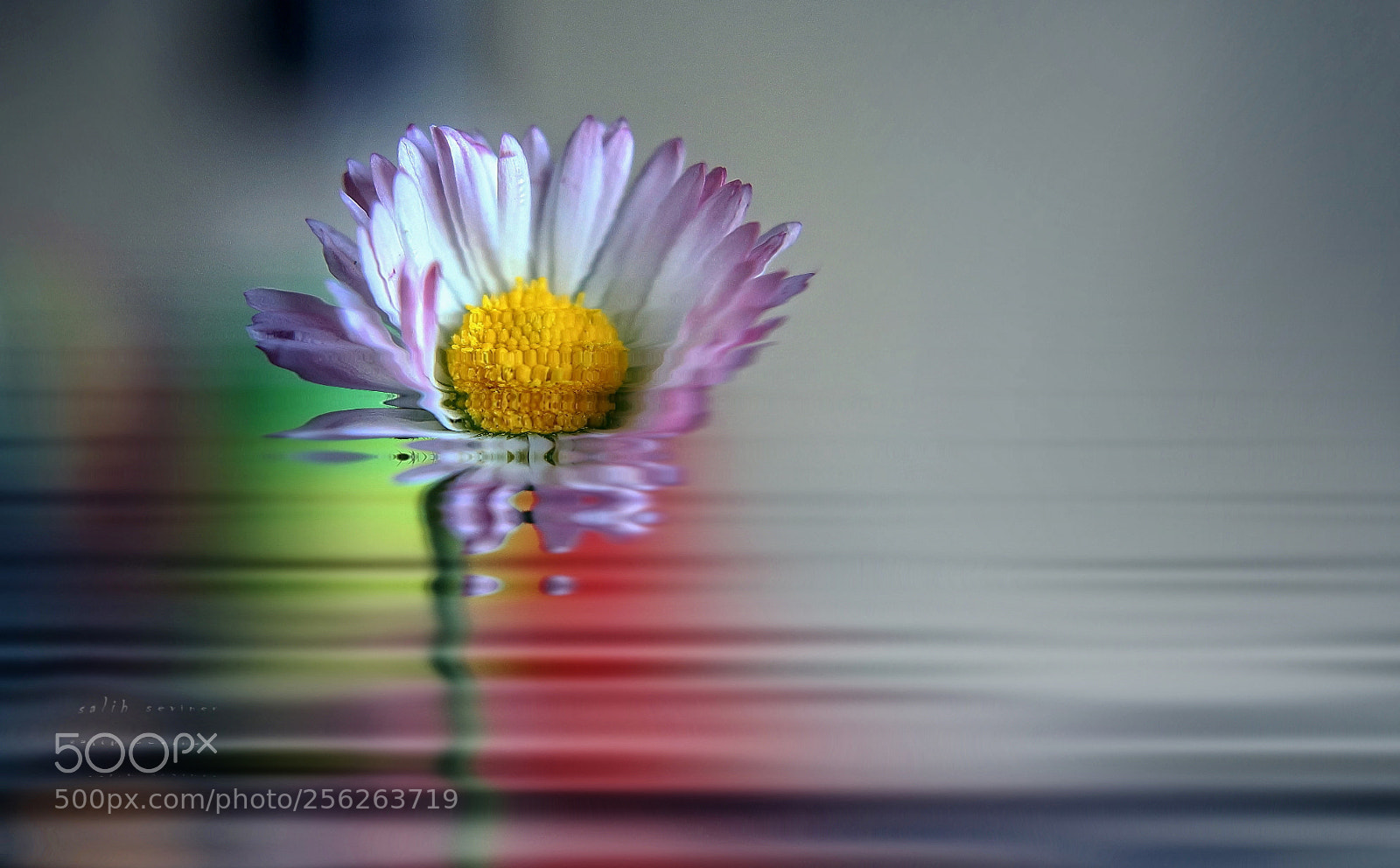 Canon EOS 6D sample photo. The death of a photography