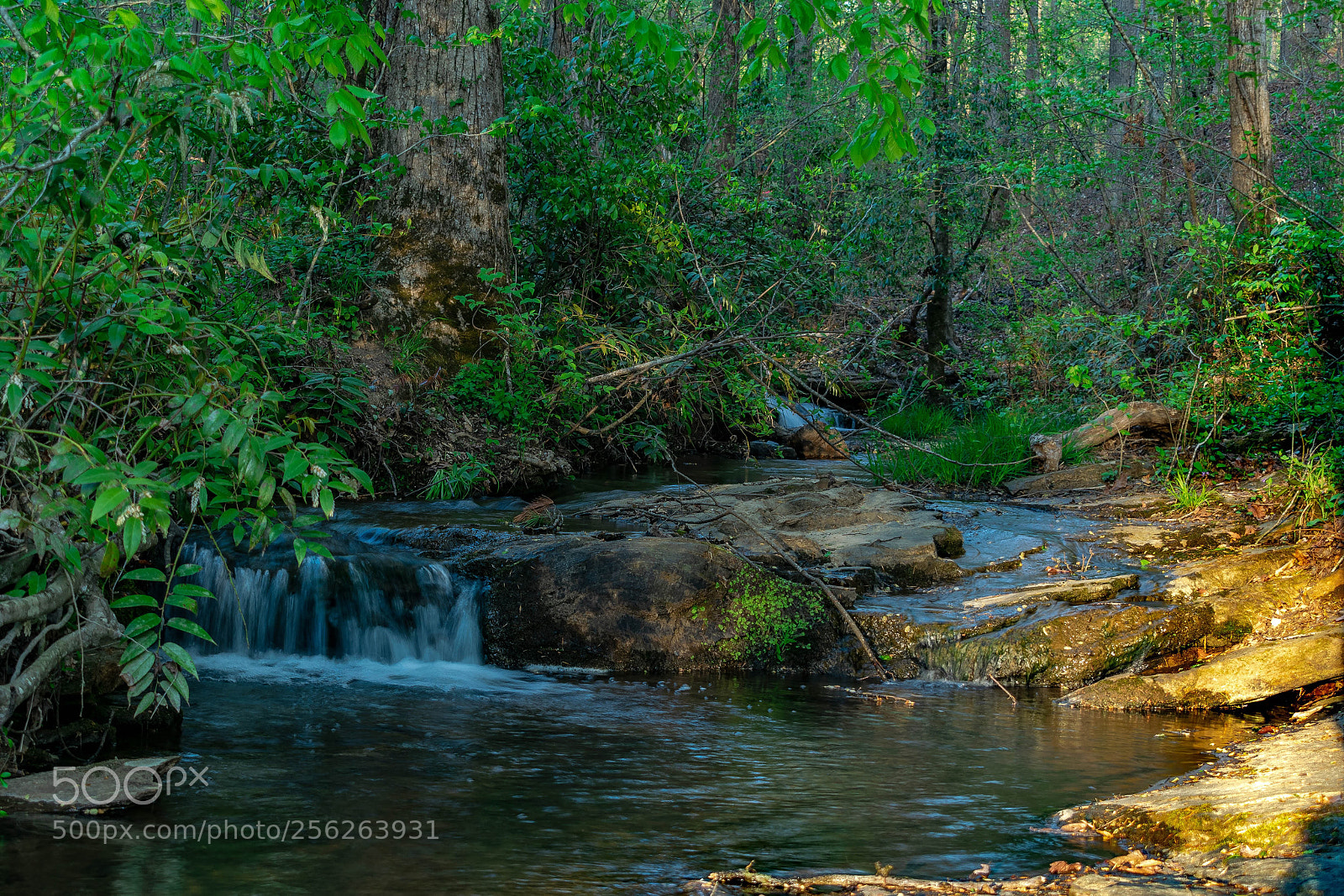 Nikon D3300 sample photo. Wildcat creek photography