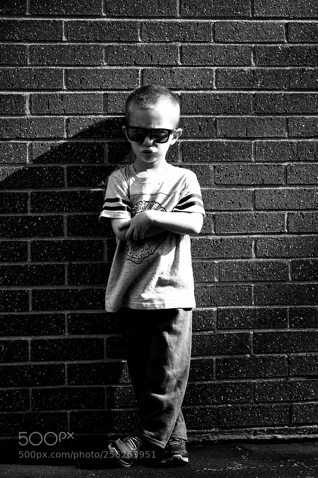 Nikon D5600 sample photo. Mr. tough guy photography