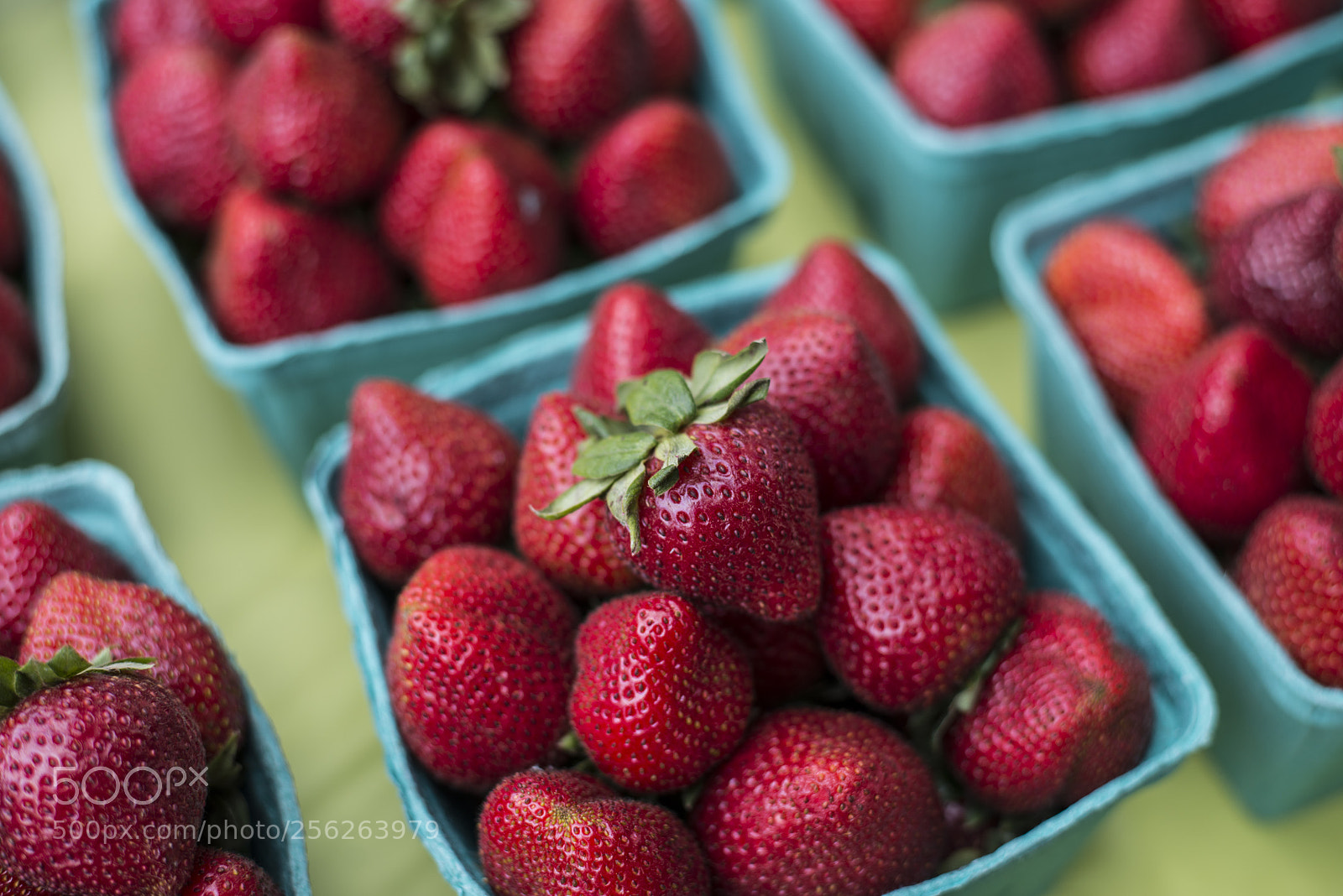 Nikon D800 sample photo. Strawberries photography