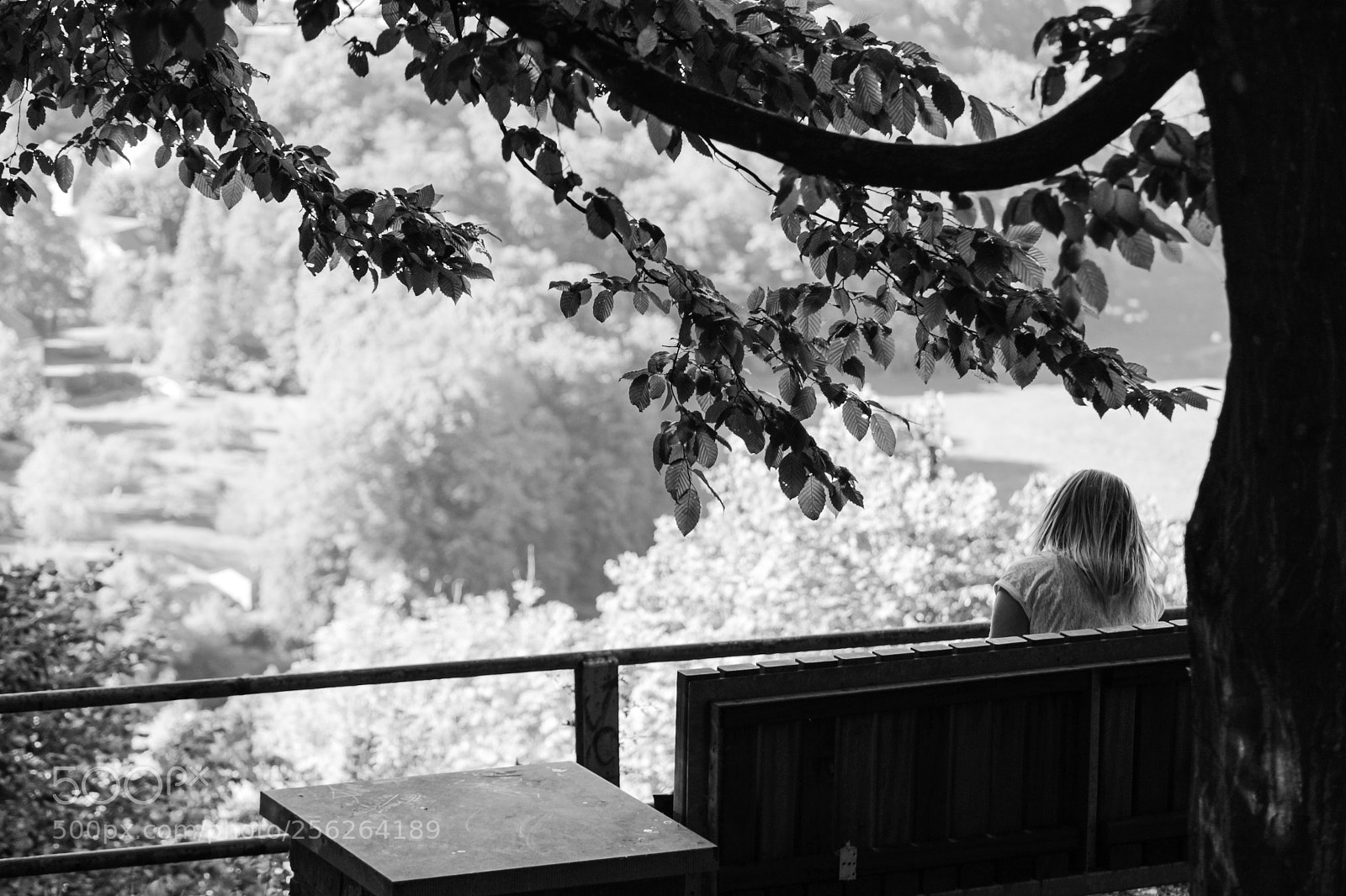 Canon EOS 600D (Rebel EOS T3i / EOS Kiss X5) sample photo. Lonely girl photography