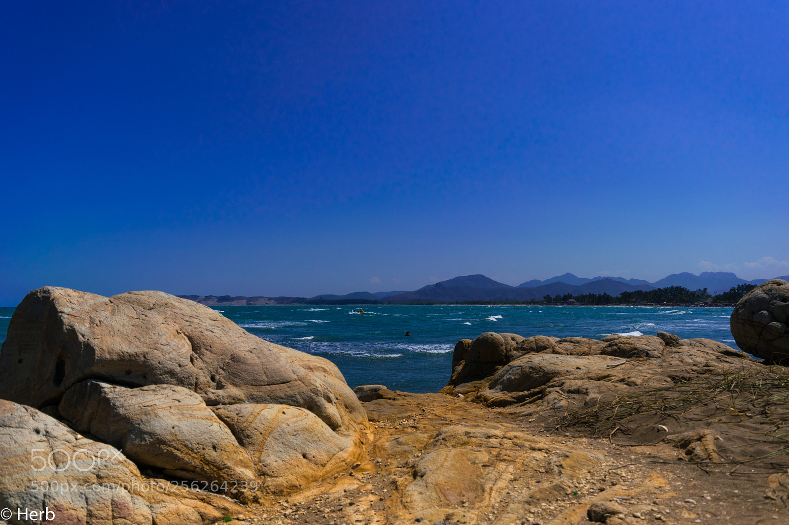 Nikon D3300 sample photo. Dsc photography