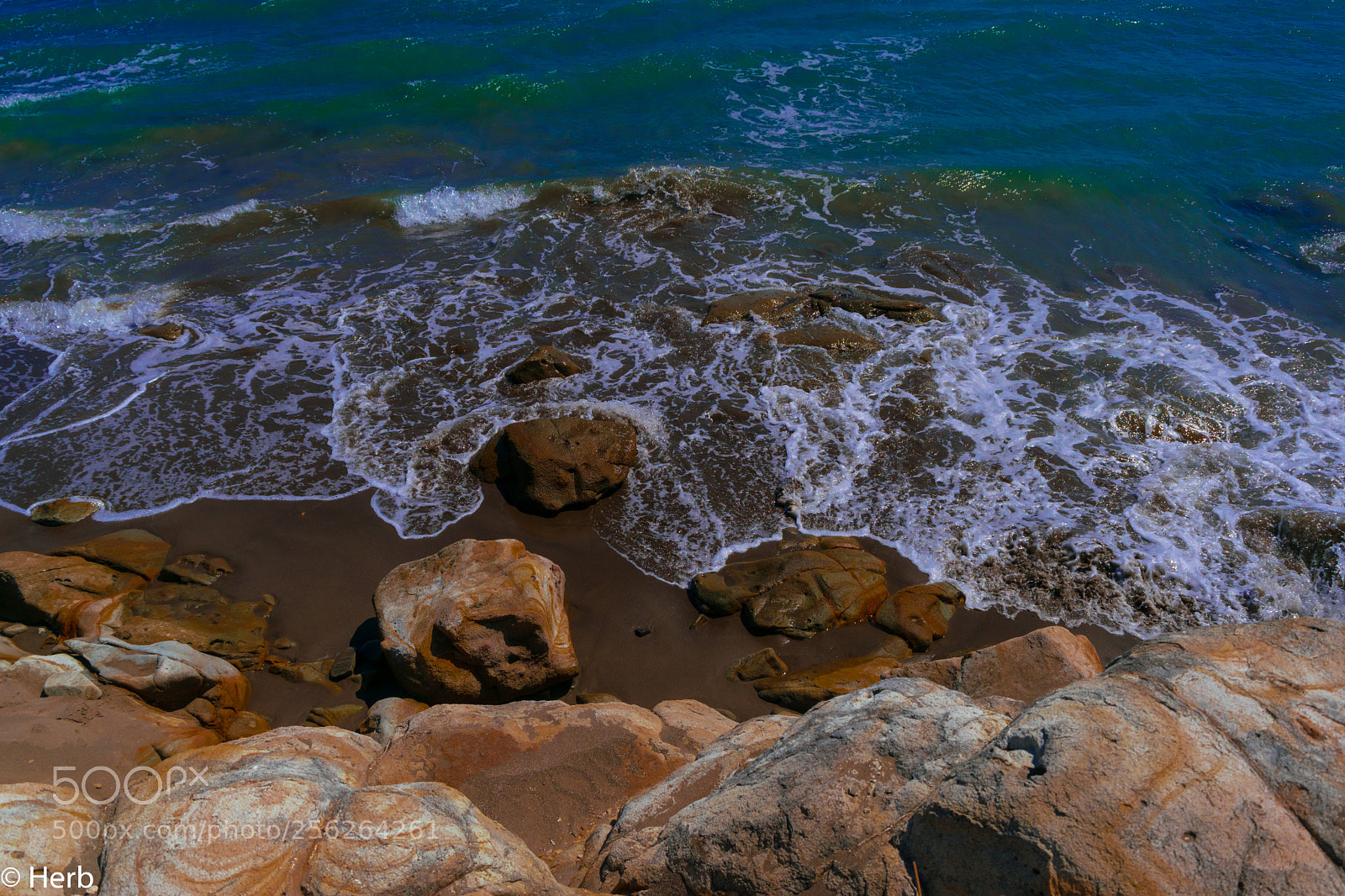 Nikon D3300 sample photo. Dsc photography
