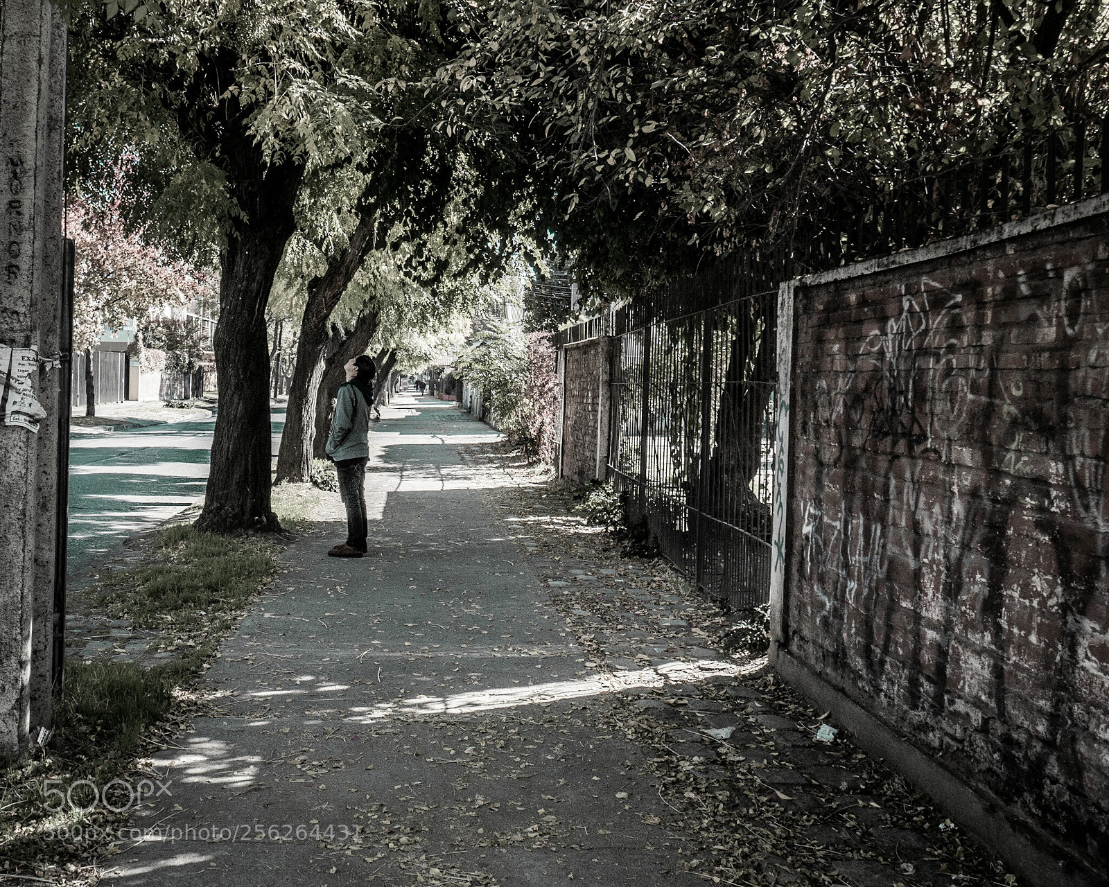 Panasonic Lumix DMC-G7 sample photo. Untitled photography
