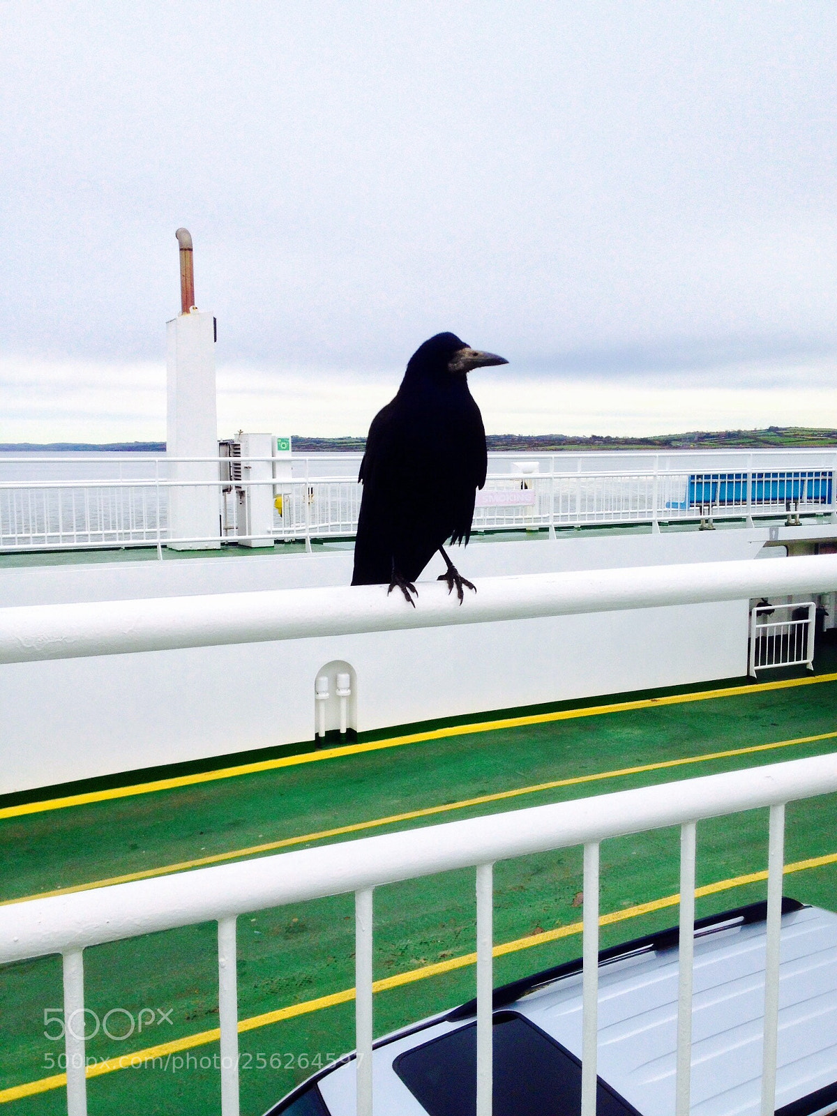 Apple iPhone 4S sample photo. On the ferry photography