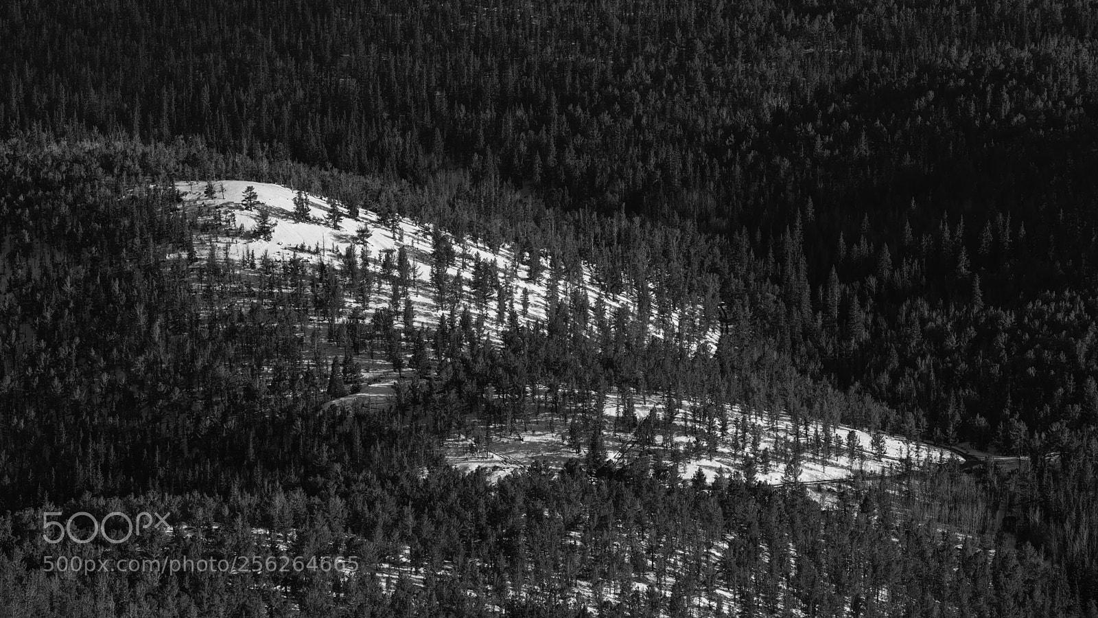 Sony a7R III sample photo. Snow striped photography