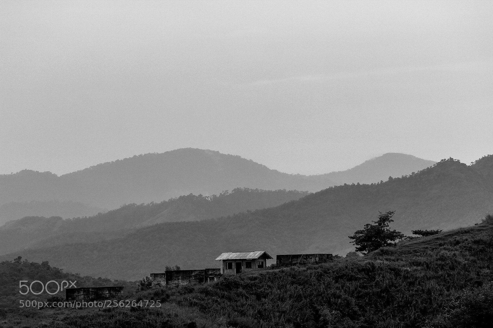 Canon EOS 60D sample photo. Img photography