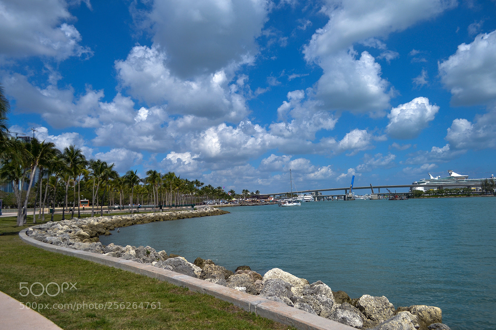 Nikon D3100 sample photo. Vista al puerto de photography