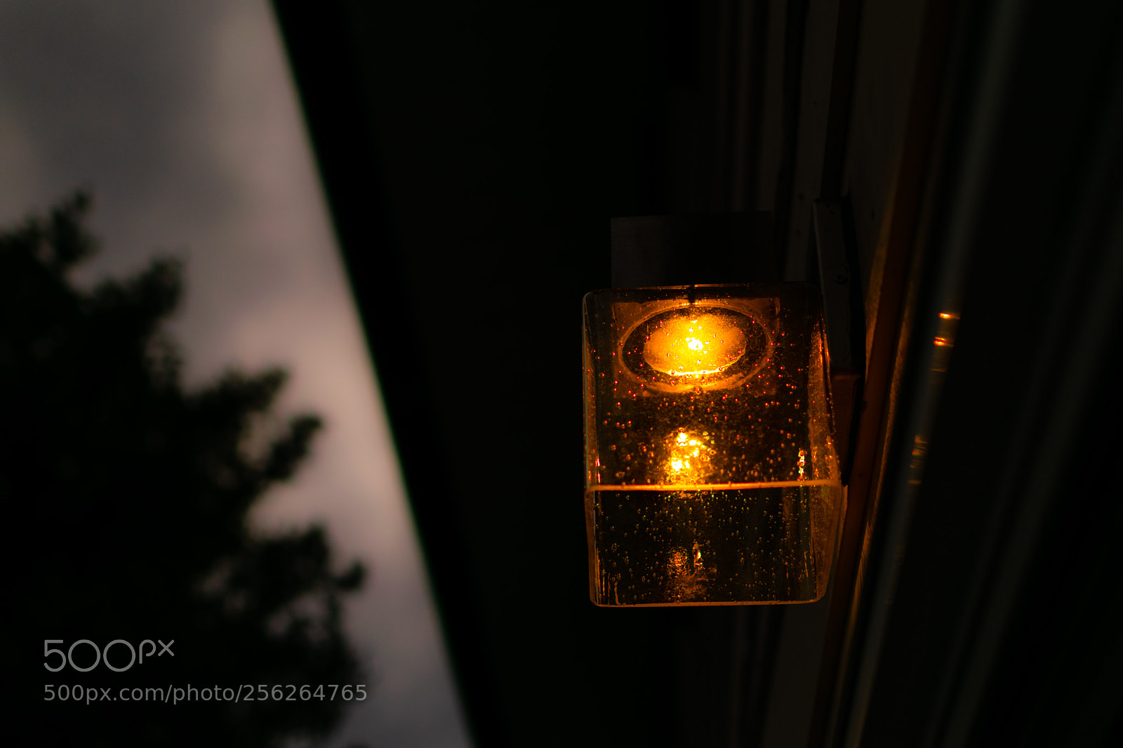 Nikon D5300 sample photo. Untitled photography