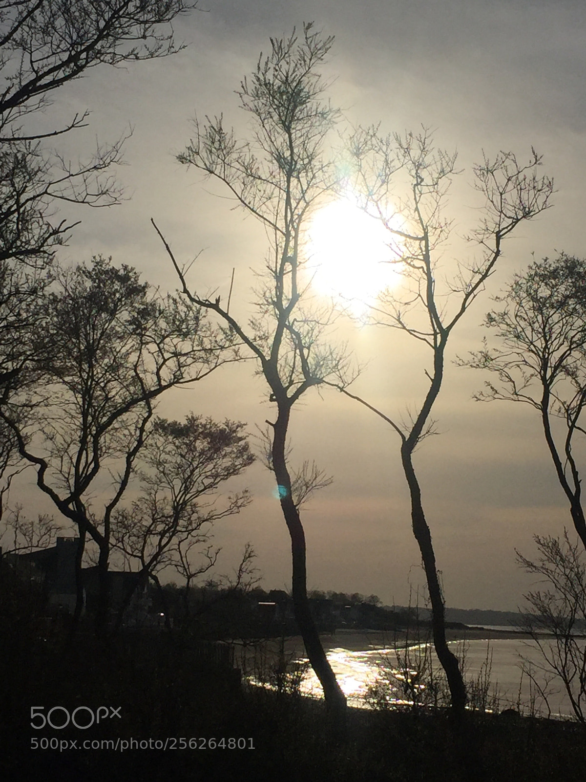 Apple iPhone 6 sample photo. Heaven... photography