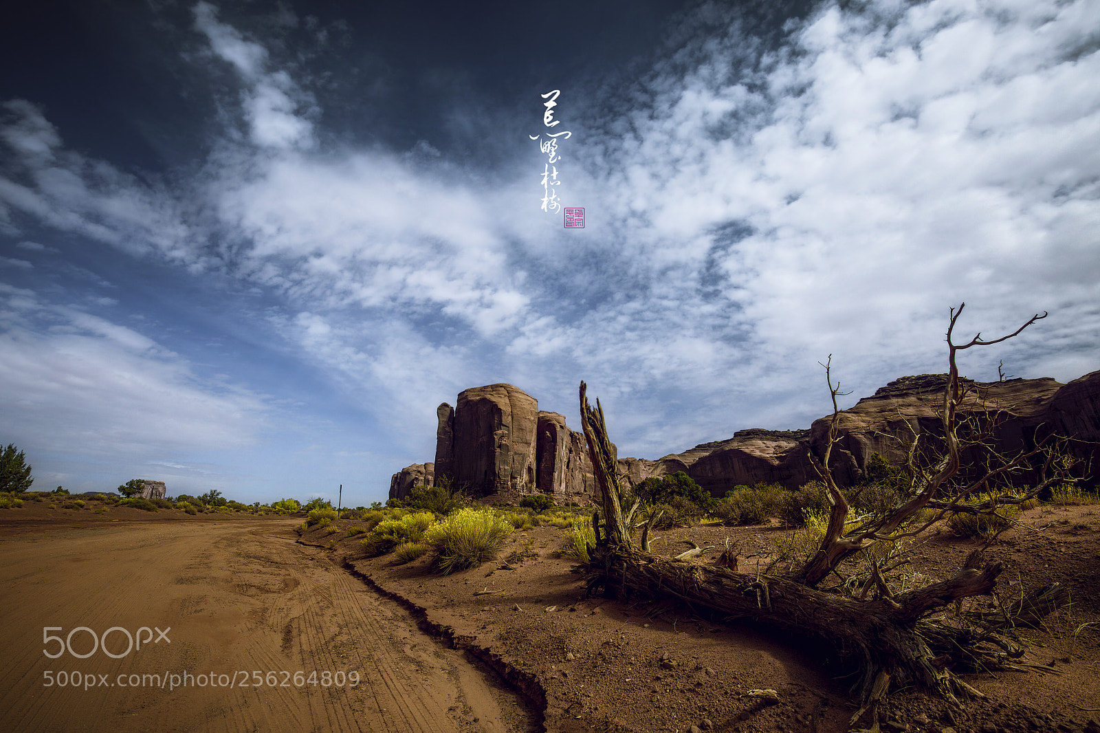Canon EOS 5D Mark IV sample photo. 美国纪念碑谷公园 photography