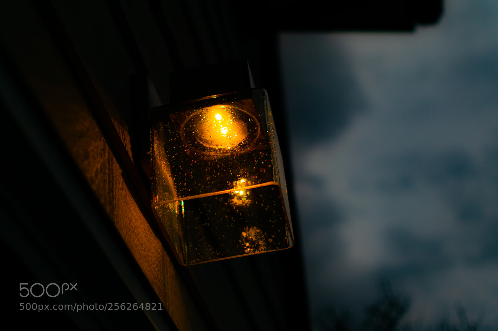 Nikon D5300 sample photo. Untitled photography
