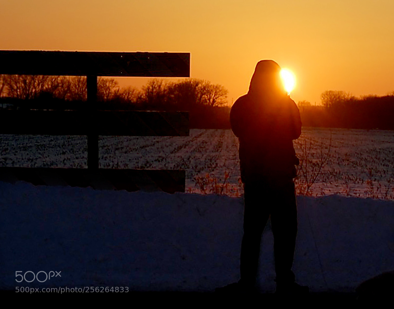 Nikon D40 sample photo. Field and sunset photography