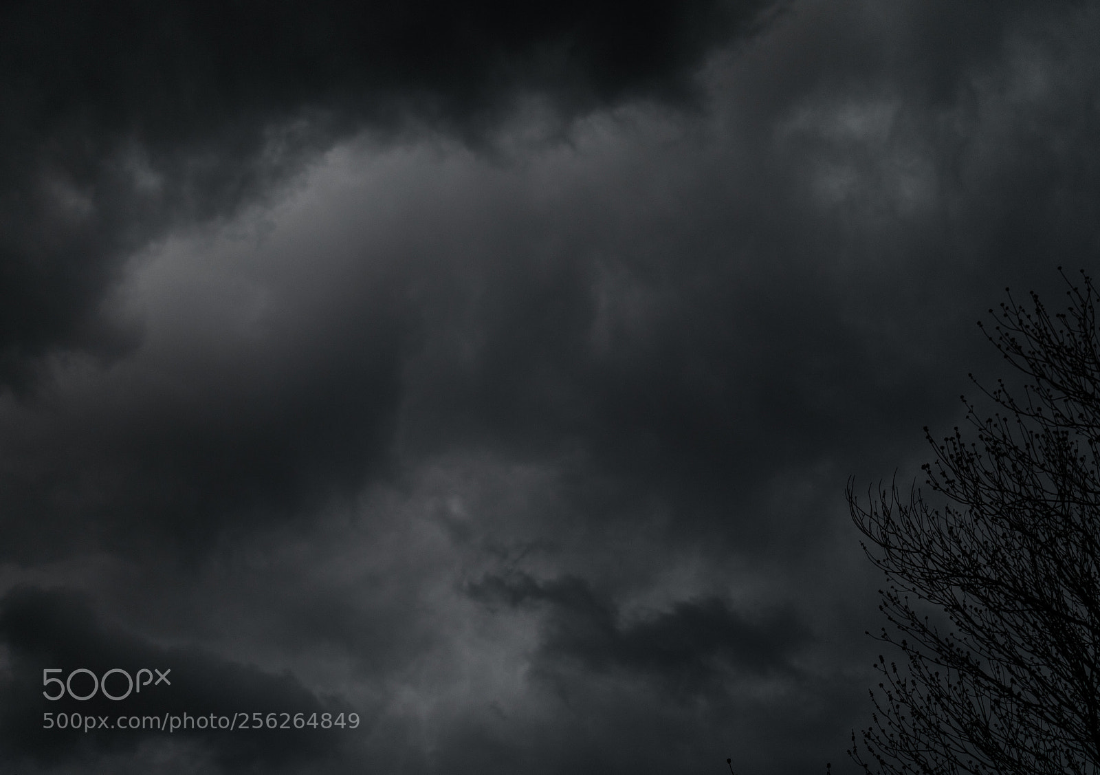 Nikon D5300 sample photo. Untitled photography