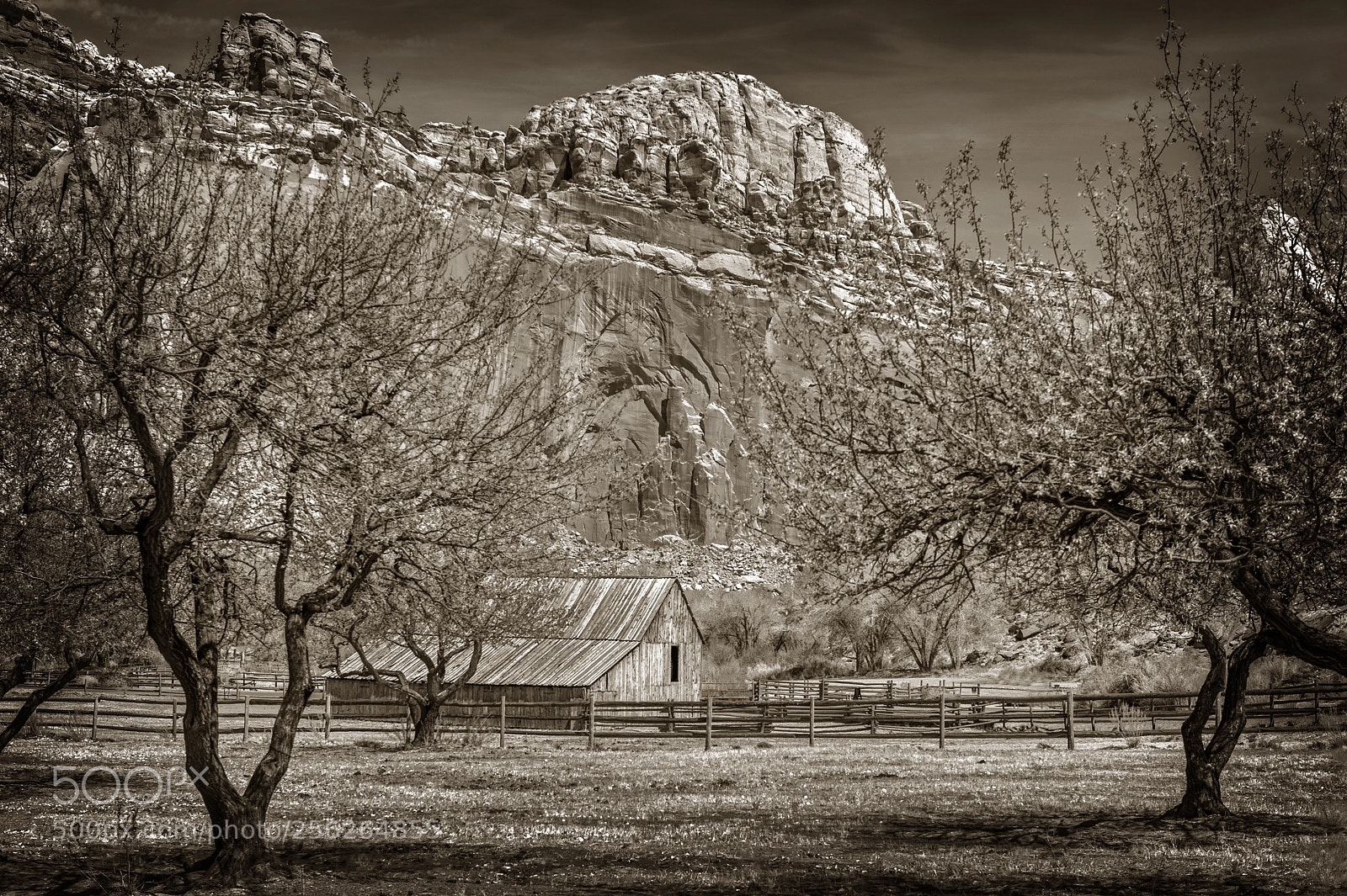 Nikon D700 sample photo. Wooden barn at fruita photography