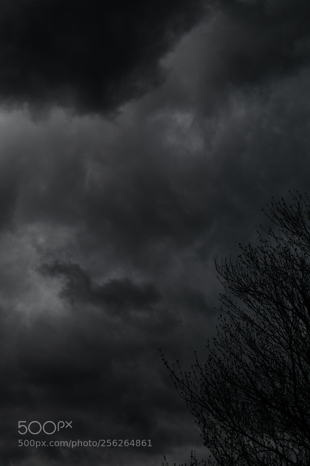Nikon D5300 sample photo. Untitled photography
