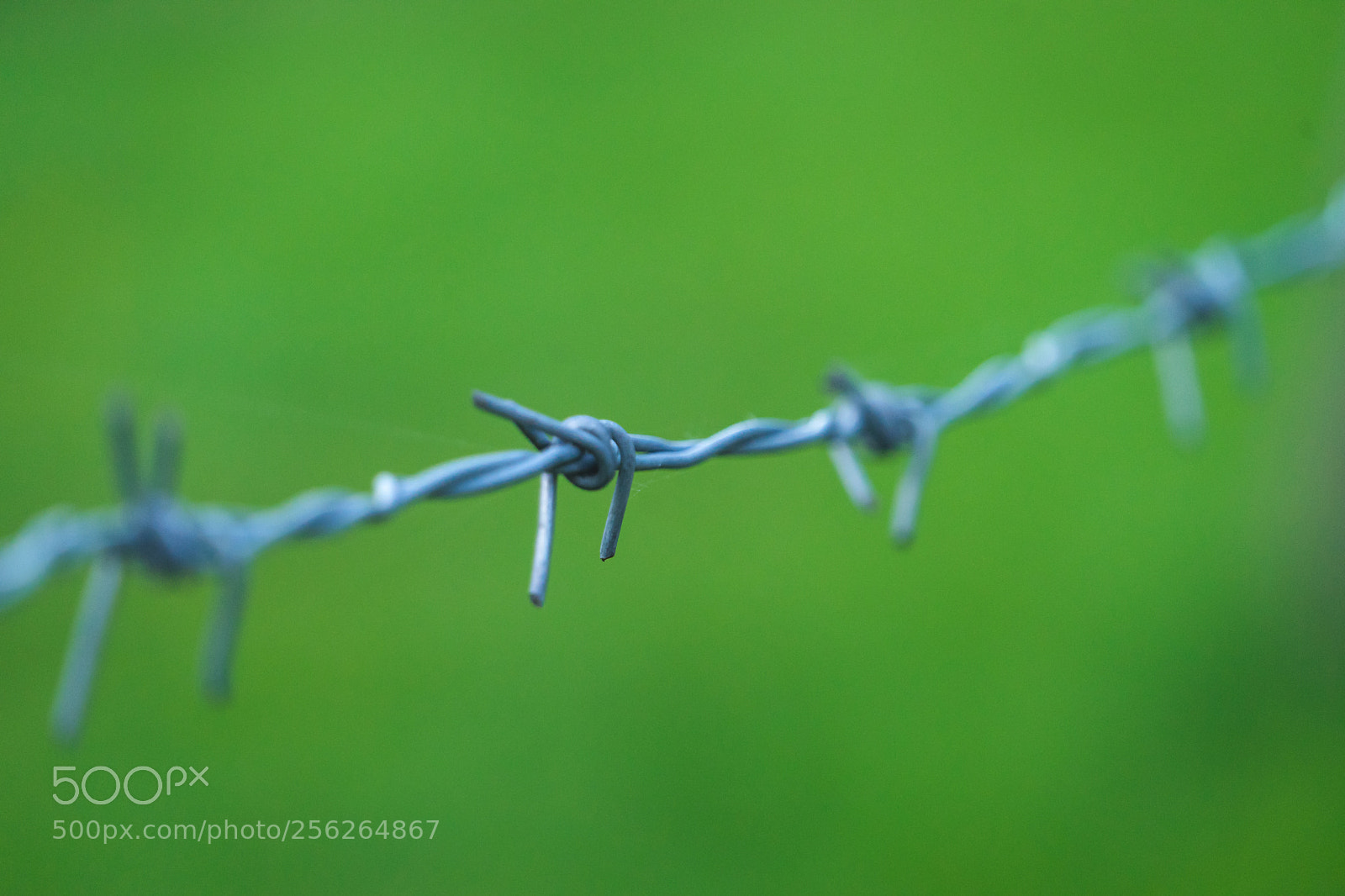 Sony a7 sample photo. Freedom photography