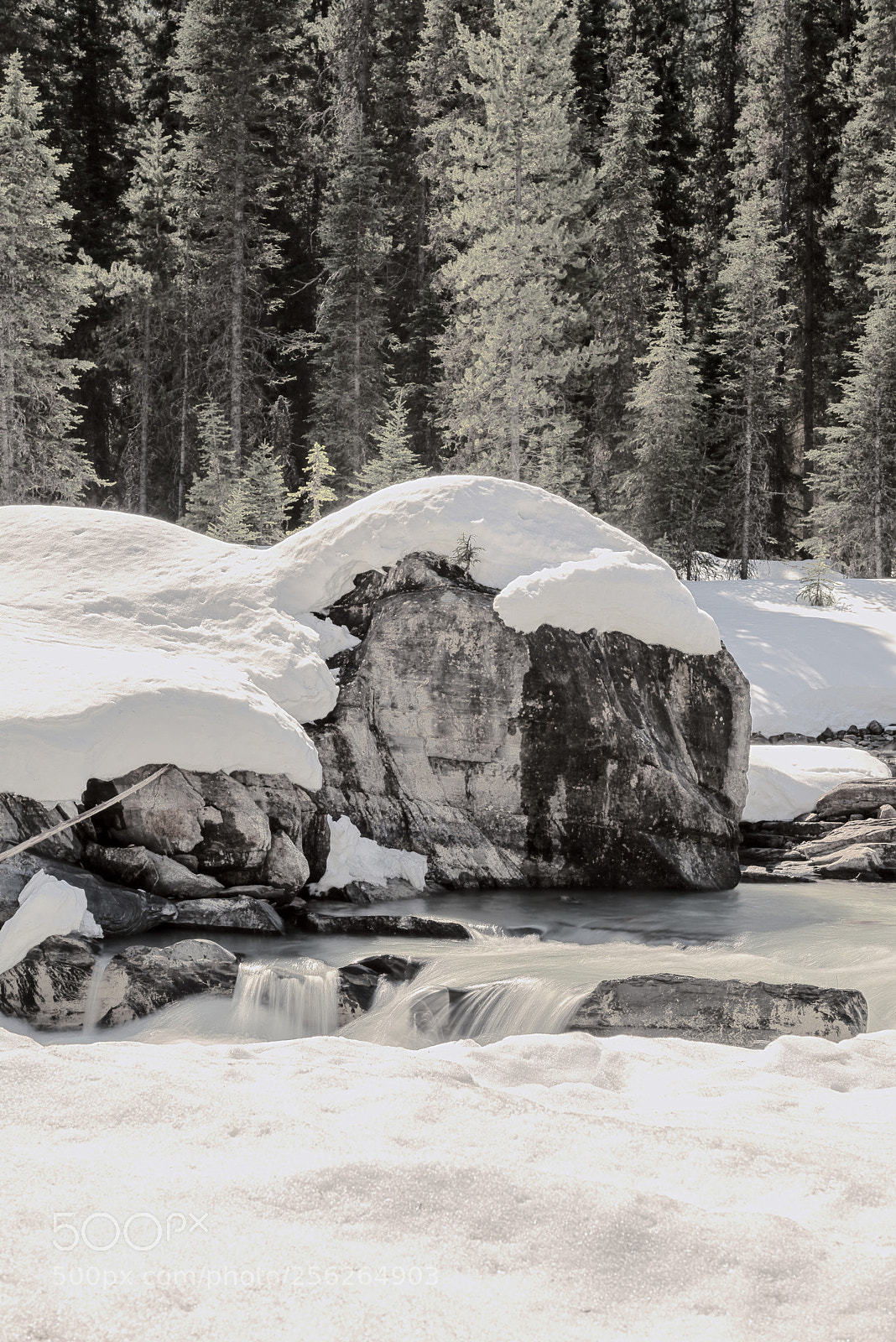 Nikon D800 sample photo. Numa falls photography
