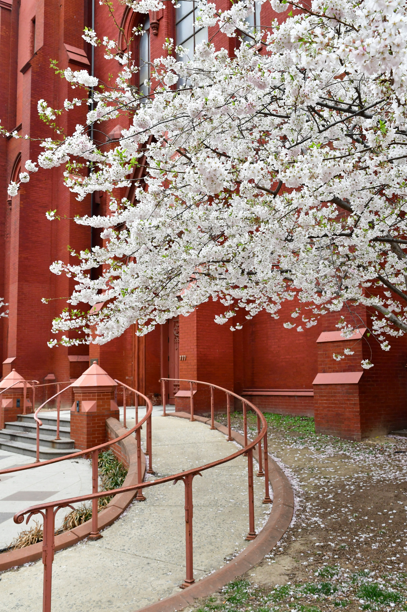 Nikon D7500 sample photo. Blooming on time  photography