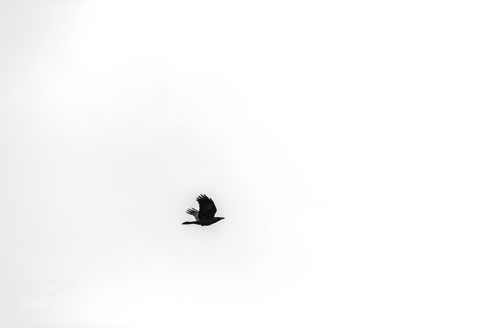 Nikon D810 sample photo. Untitled photography