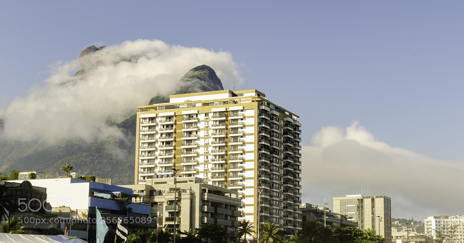 Nikon D7000 sample photo. Fog photography