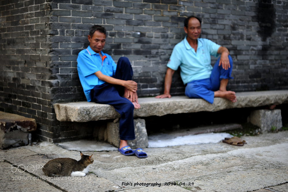 Nikon D700 sample photo. 顺德杏坛北水 photography