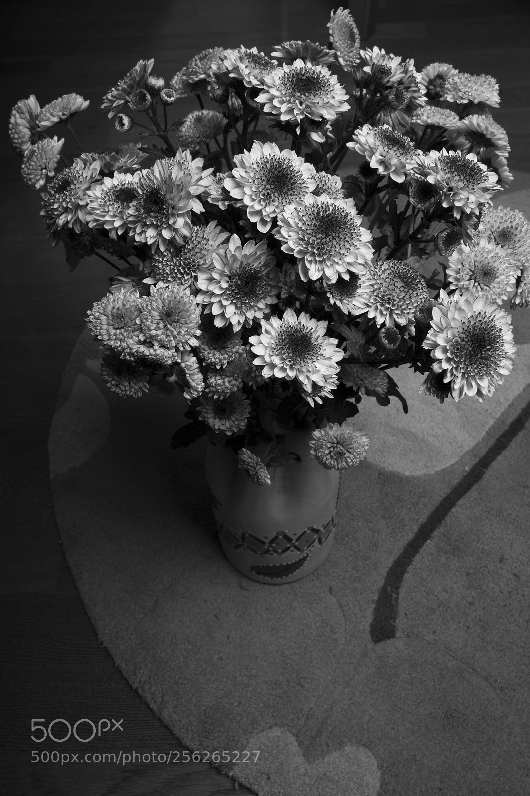 Canon EOS 70D sample photo. Untitled photography