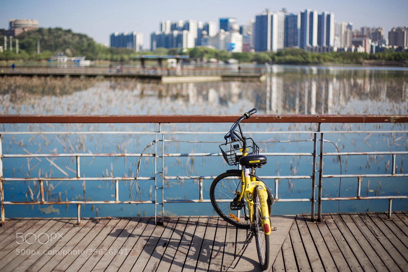 Canon EOS 6D sample photo. Untitled photography