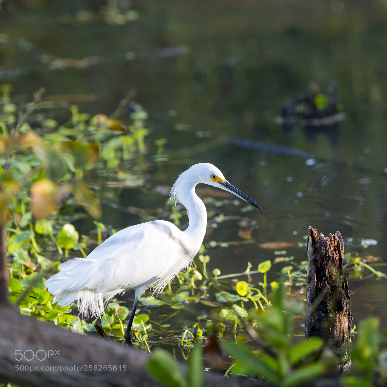 Nikon D850 sample photo. Gone fishing photography