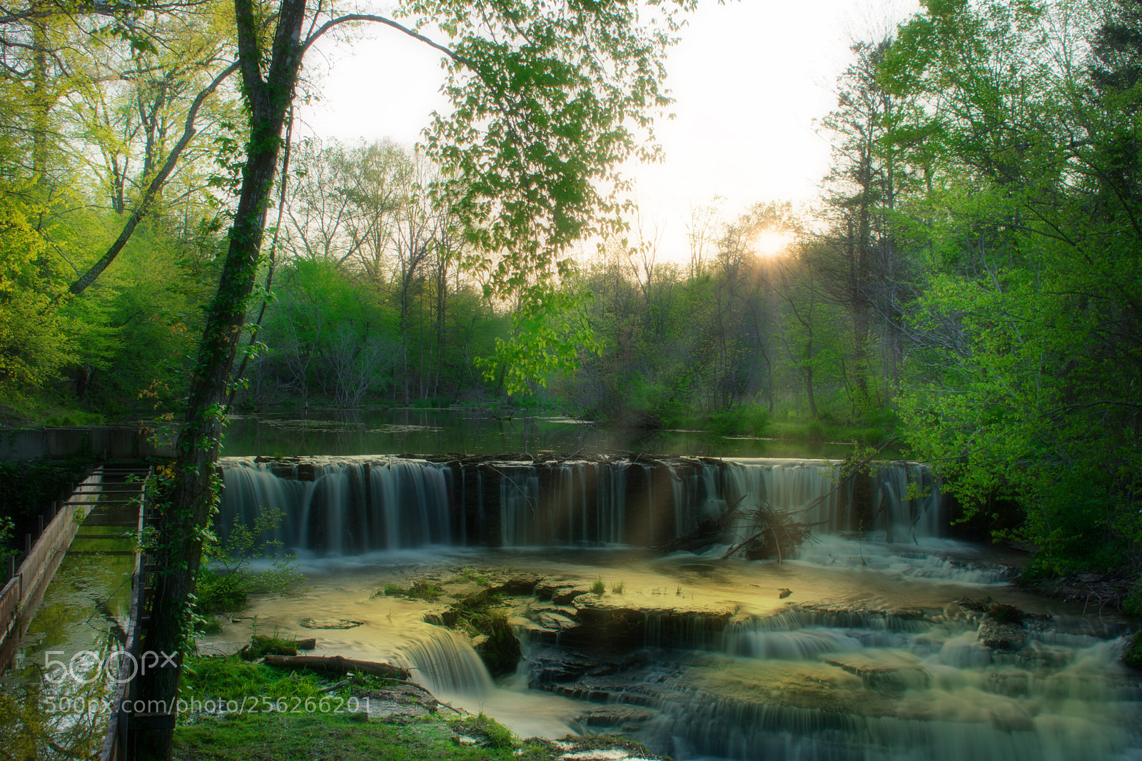 Nikon D3400 sample photo. A lazy afternoon photography