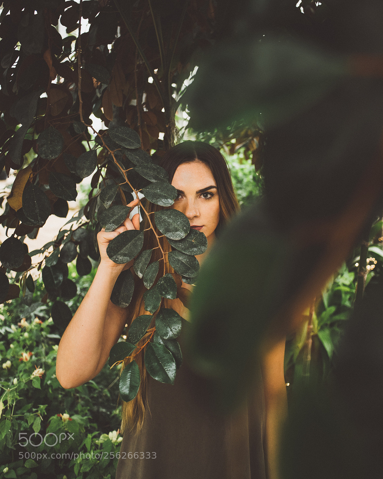 Nikon D750 sample photo. Hide & seek photography