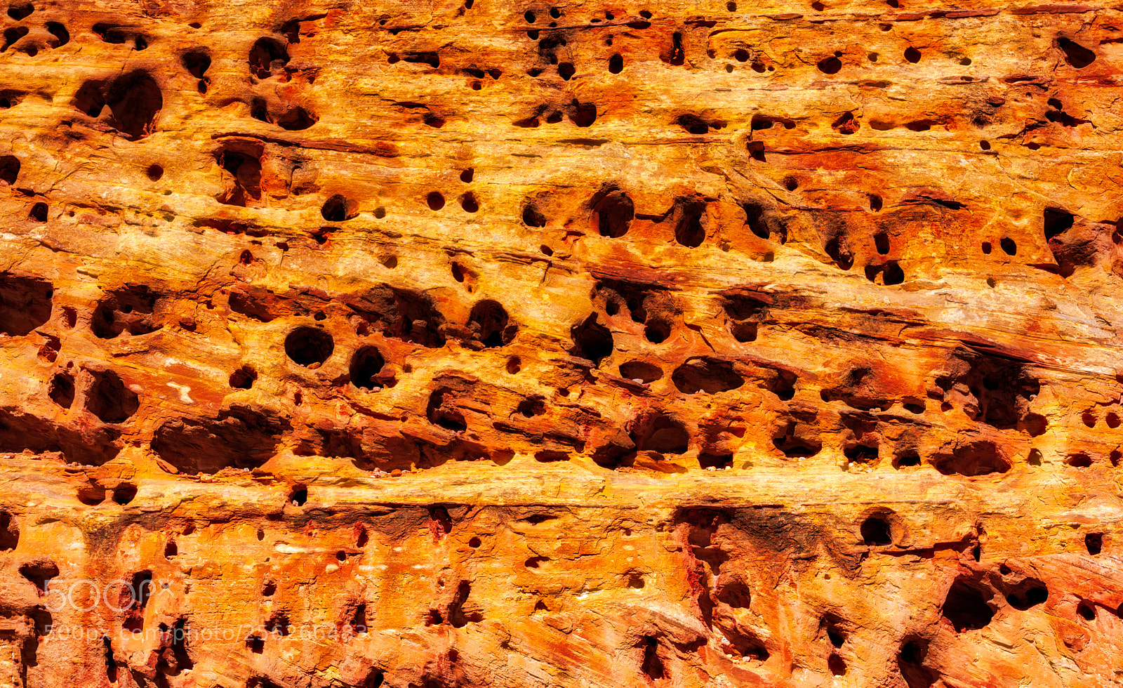 Pentax K-3 II sample photo. Utah - capitol reef photography