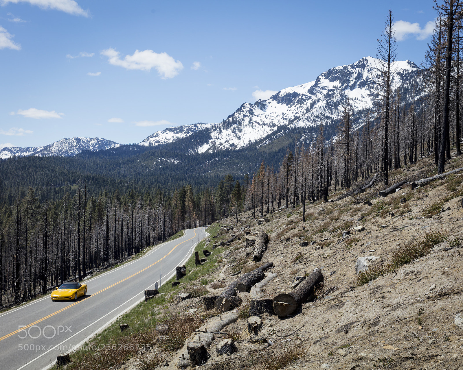 Canon EOS 5DS R sample photo. Road 89 photography