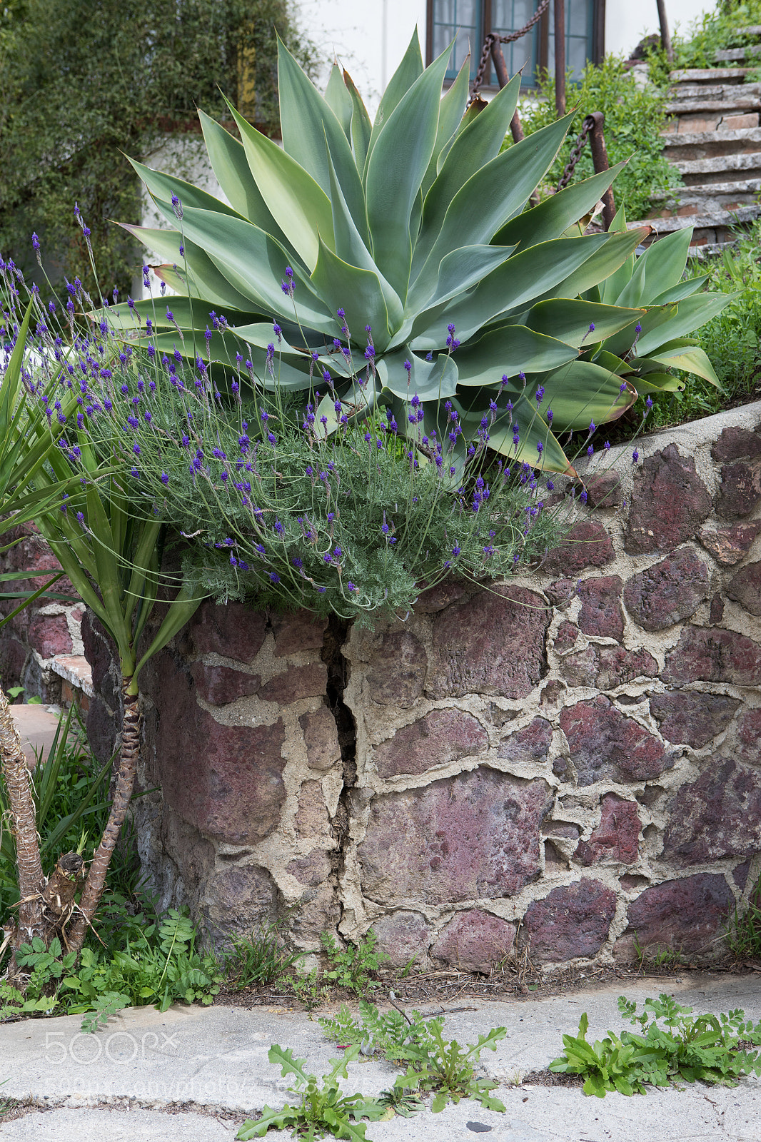 Canon EOS 5D Mark IV sample photo. Broken stone wall micheltorena photography