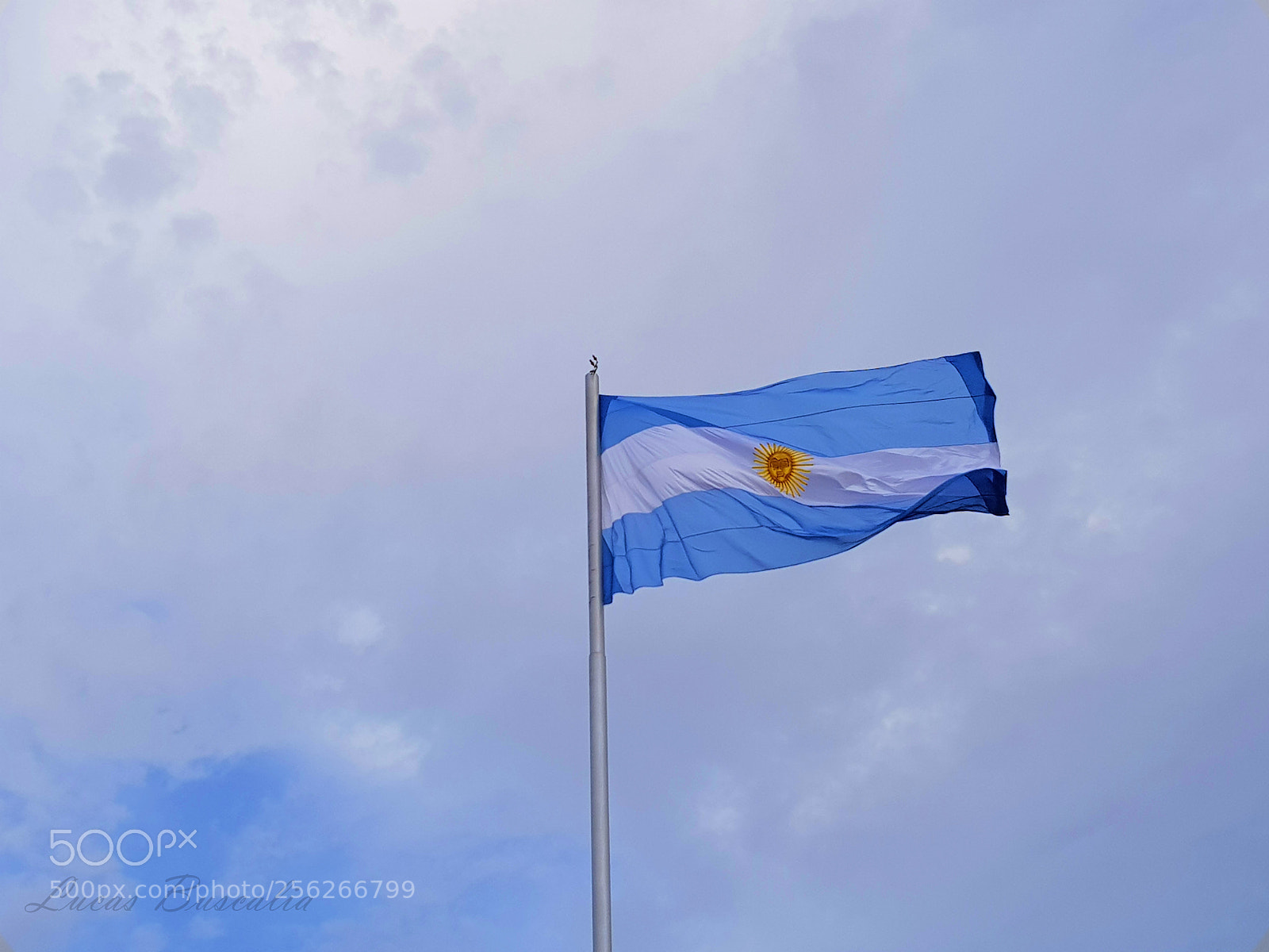 Samsung Galaxy S8+ sample photo. La flamante argentina photography