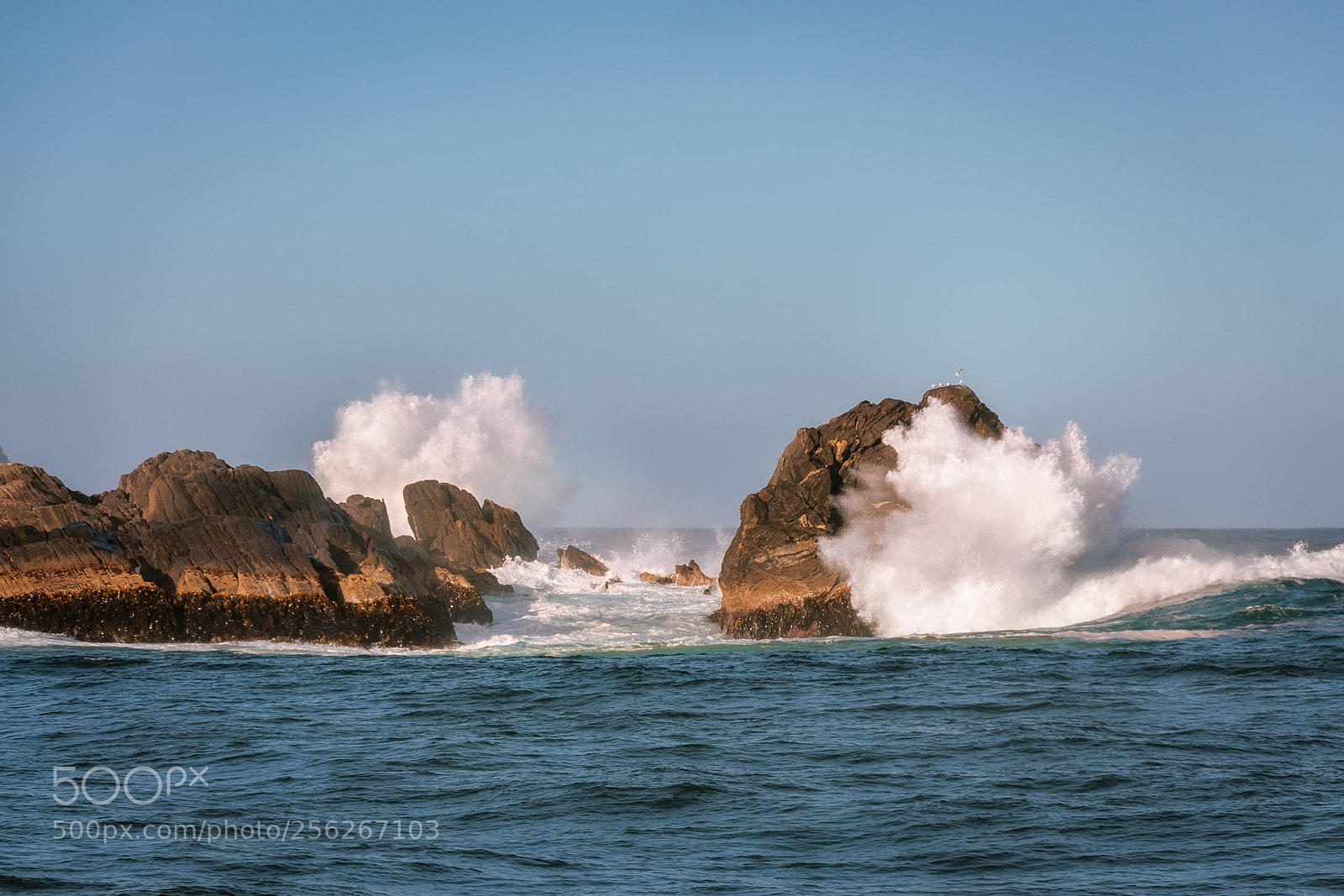 Nikon D90 sample photo. Big waves smashing on photography
