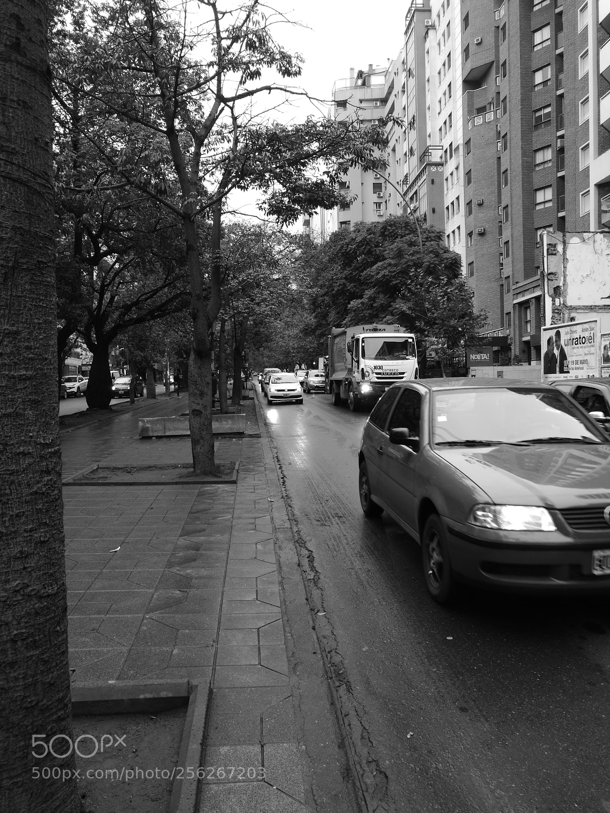 HUAWEI P9 Plus sample photo. Bv. chacabuco photography