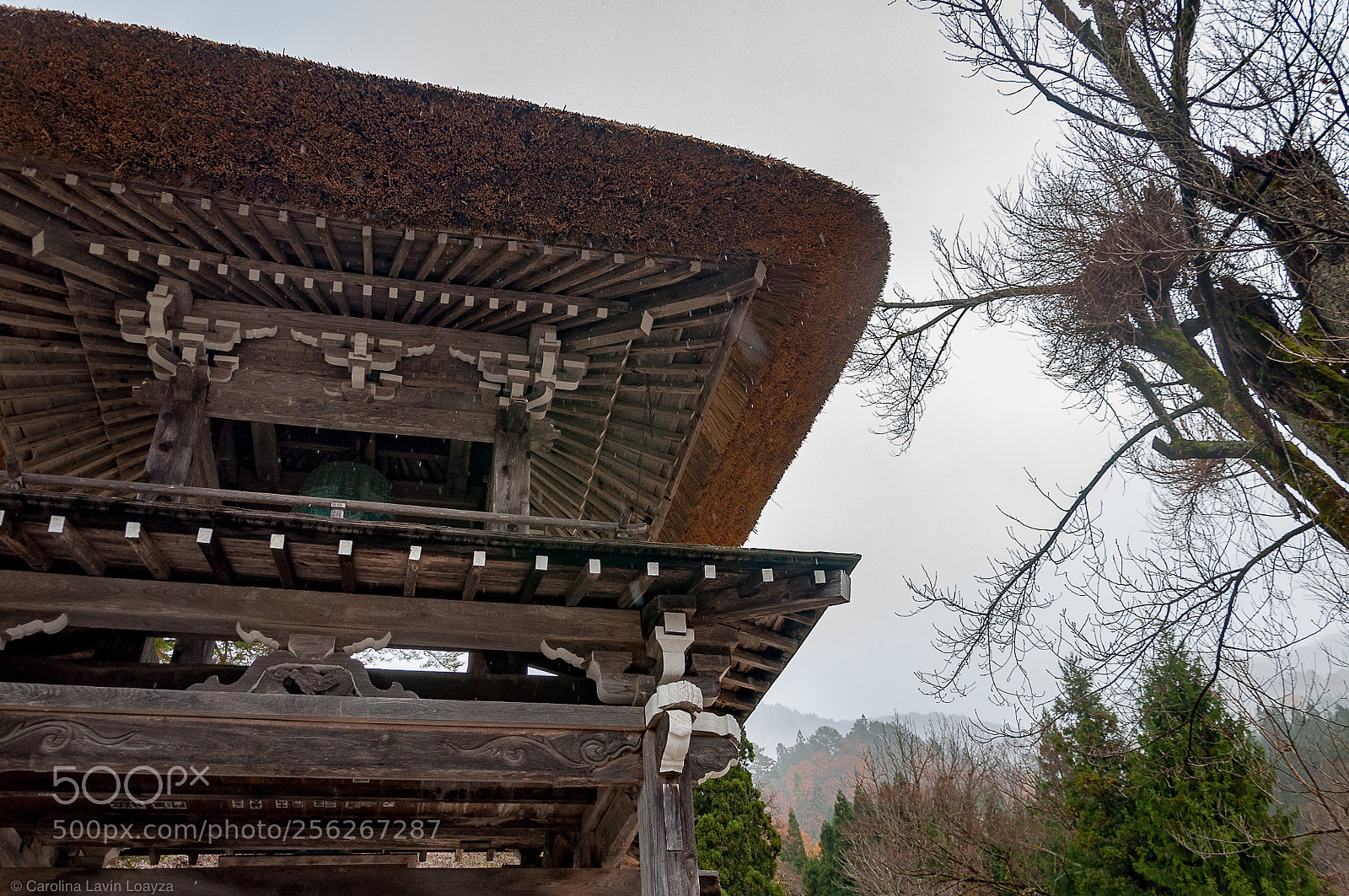 Nikon D90 sample photo. Distintas alturas photography