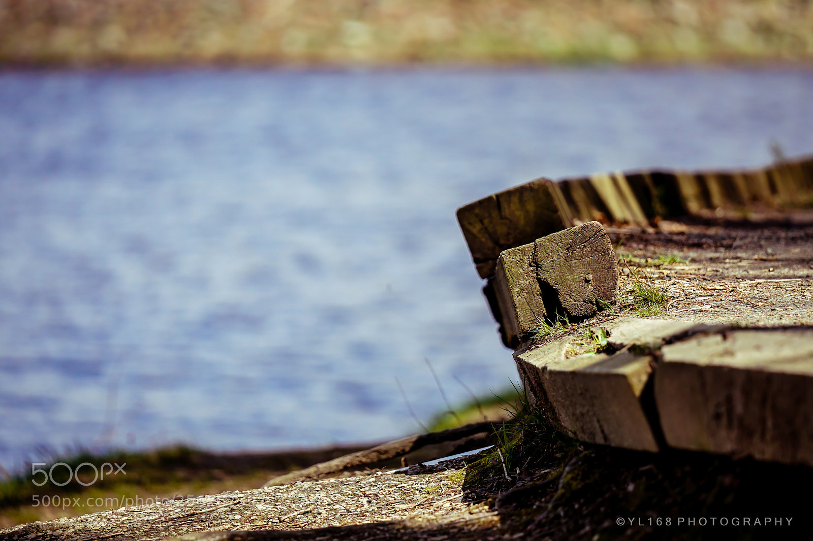 Sony a6500 sample photo. Path along a lake photography