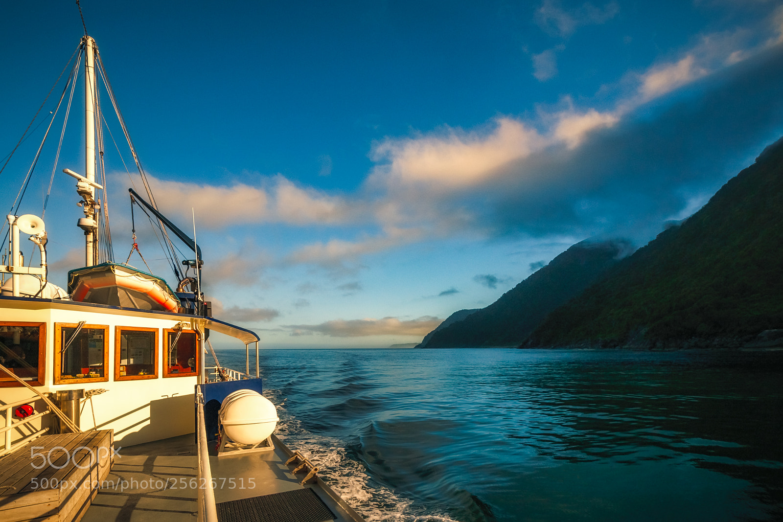 Nikon D90 sample photo. Beautiful morning light on photography